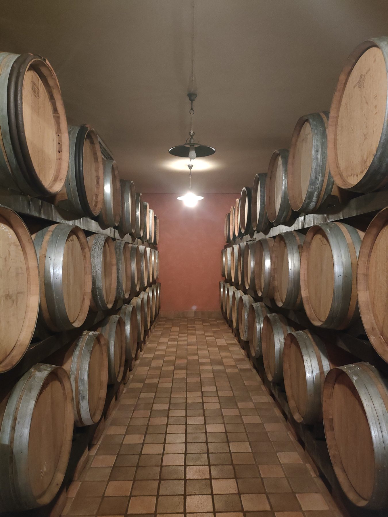 Corridoio di botti in una cantina storica della Valpolicella