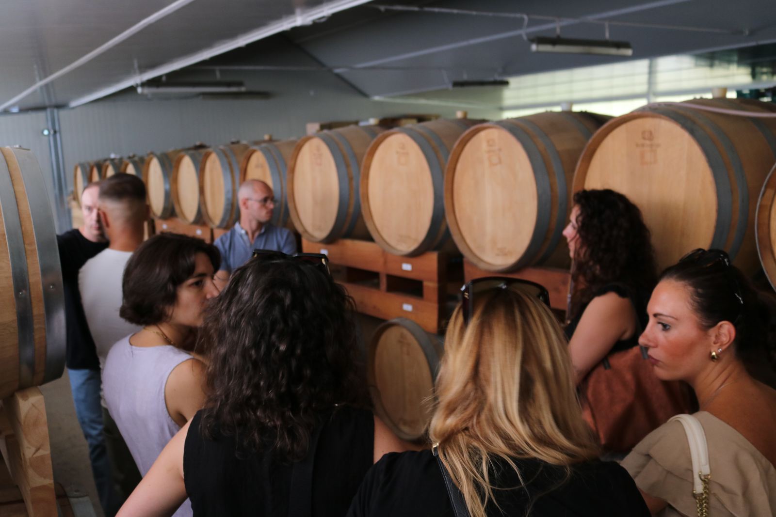 Guests among oak barrels in a cellar
