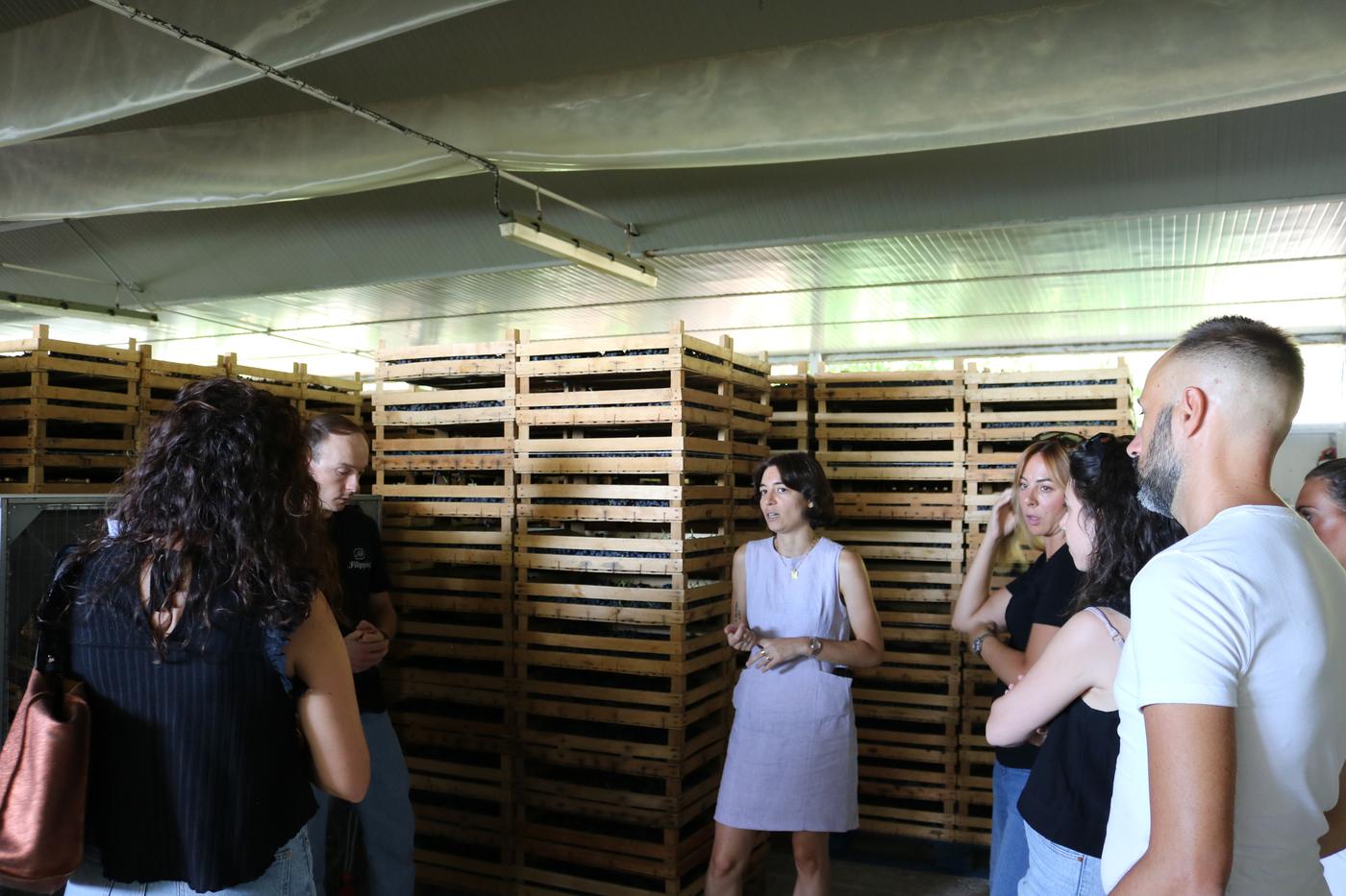 Guests listening in the grape drying room