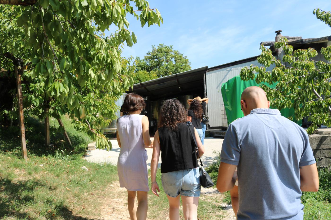 Guests walking along a path towards the cellar