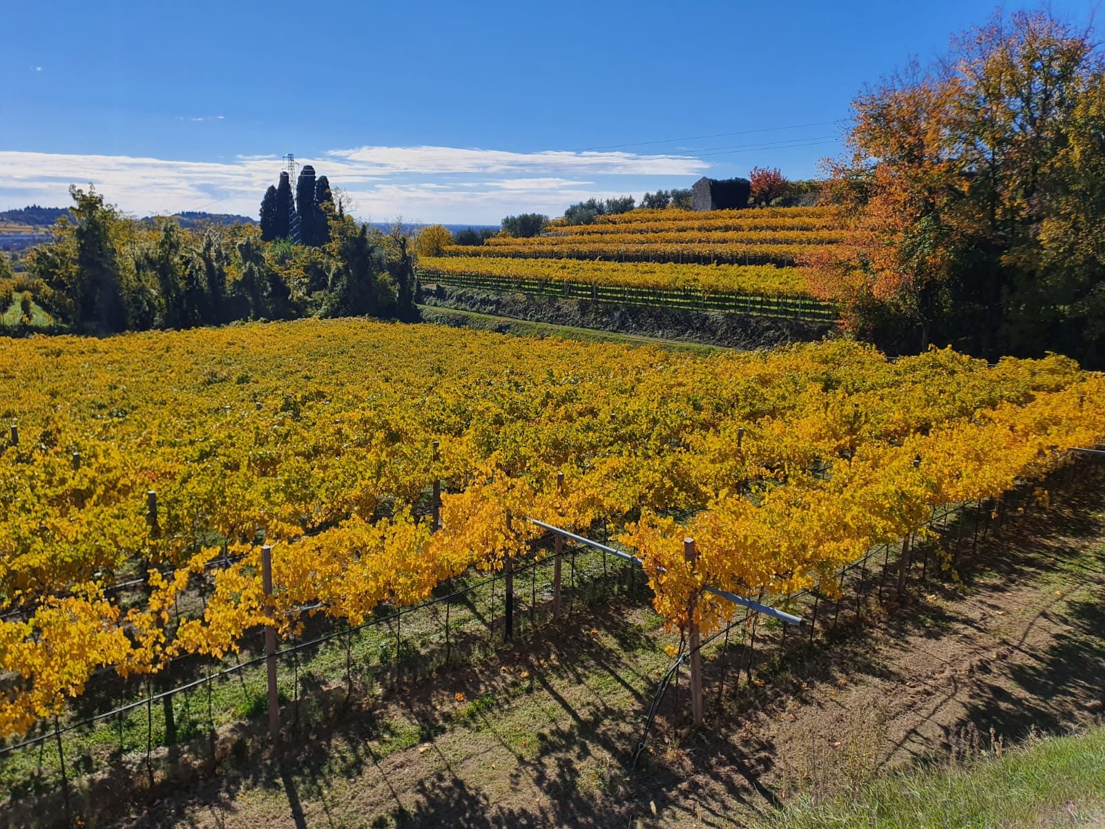 La Valpolicella in autunno